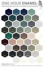 Load image into Gallery viewer, One Hour Enamel Paint GALLONS
