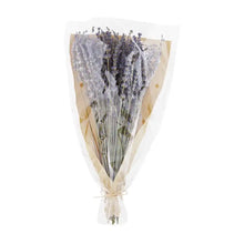 Load image into Gallery viewer, Preserved Lavender Bunch
